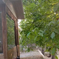 کیوسک باغی