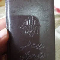 کیف کوچیک پیدا شده