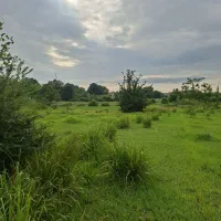 زمین لوکس روستایی
