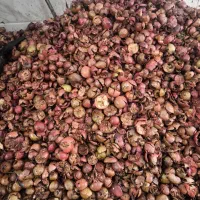 پوست لیمو ،گوجه و انار رایگان برای خوراک دام