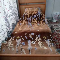 تخت یک نفره و کمد|تخت و سرویس خواب|کازرون, |دیوار