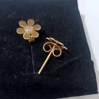 گلگوش