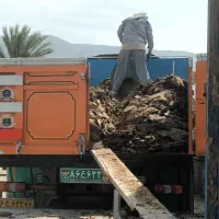 خریدار کود مرغ گوشتی کف سالن