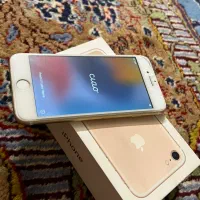 ایفون ۷|موبایل|تهران, شهر زیبا|دیوار