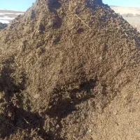 کودحیوانی یا پهین دوساله