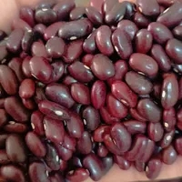 لوبیاو عدس ریز عدس درشت ولپه ونخودولوبیاچیتی وعسل|خوردنی و آشامیدنی|شیراز, قلعه نو|دیوار
