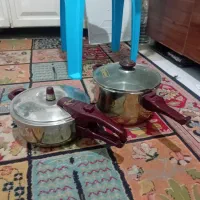 فلاسک دوقلوزودپزدوقلوپلوپز