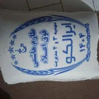 برنج ایرانی طارم هاشمی