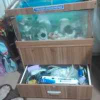 اکواریم با تجهیزات