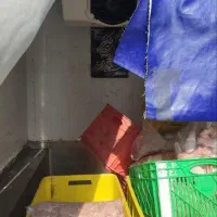 پراید وانت 1401 یخچالی بدون رنگ