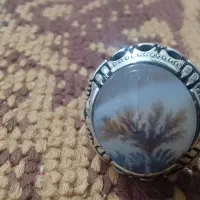 انگشتر شجر شیخ احمد