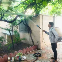 سم پاشی باغبانی درخت کاری سمپاشی شته آفت100%تضمینی