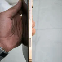 16 promax ، اپل ۱۶ پرومکس۲۵۶|موبایل|باغستان, |دیوار