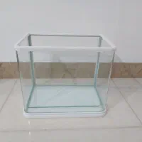 اکواریوم شیشه خم