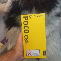 سی 85 حافظه۲۵۶گیگ رم۸ گلوبال اصلی