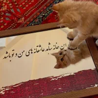 آیینه آنتیک زیبا