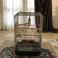 فروش قفس وکیف حمل پرنده