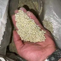 کود رازی بندر قیمت توافقی|خدمات باغبانی و درختکاری|کرمانشاه, |دیوار