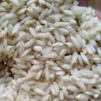 برنج عنبر بو امسال موجود است