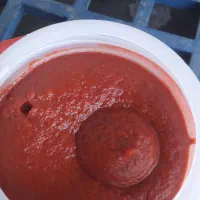رب خانگی