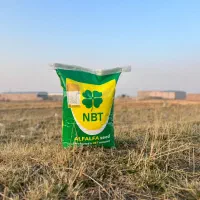 بذر تخم یونجه NBT|عمده‌فروشی|اهواز, ۳۰ متری|دیوار