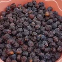 انواع خرما امسال تازه  موجودهه