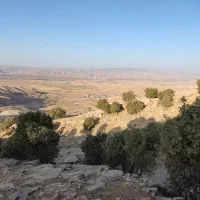 کاه وچکو هفتاد شلیف