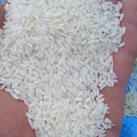 برنج سوناماسوری  سفید درجه یک