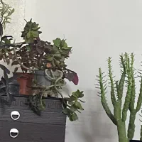 خط تلفن ثابت محدوده قاسم آباد