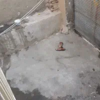 اجاره سوئیت ۵۰ متری طبقه ۱