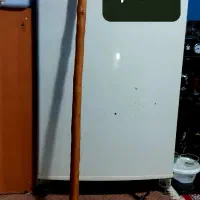 چوب دستی  البالو،بادام ،جنگلی|کلکسیون و سرگرمی|ساوه, |دیوار