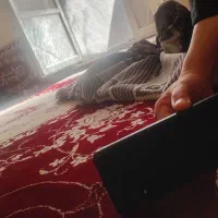 گوشی سامسونگ