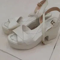 کفش|کیف، کفش، کمربند|قائم‌شهر, |دیوار