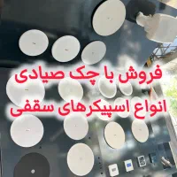 آمپلی فایر لمسی - اسپیکر سقفی - بلندگو دیواری