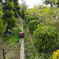 علف زنی،هرس،سمپاشی،طراحی وکاشت|خدمات باغبانی و درختکاری|آستانه اشرفیه, |دیوار