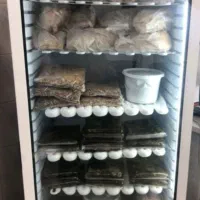 فریزر ایستاده