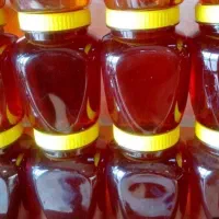 عسل طبیعی صدرصد|خوردنی و آشامیدنی|تهران, اقدسیه|دیوار