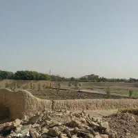 زمین-باغی