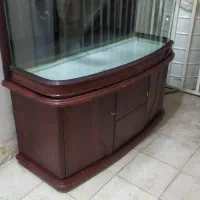 اکواریوم خارجی