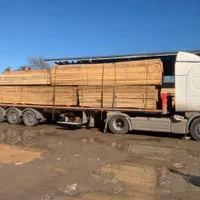 چوب تخته نراد روسی به صورت عمده از گمرک بندرانزلی|عمده‌فروشی|بندر انزلی, گمرک|دیوار