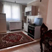 سویتت دربست در مرکز شهر