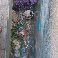 آکواریوم|ماهیگیری|قدس, شهر‌قدس|دیوار