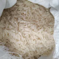 برنج فجر سوزنی