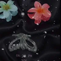 کلیپس مو دخترانه و گیر  مو بچگانه|بدلیجات|جوانرود, |دیوار