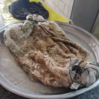 خیگ|صنایع دستی و سایر لوازم تزئینی|ایذه, |دیوار