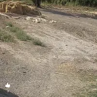 فروش زمین برای ساخت ویلا