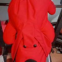 عروسک|اسباببازی|شیراز, میانرود|دیوار