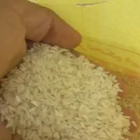 برنج‌عنبر‌بو|خوردنی و آشامیدنی|تهران, فرودگاه مهرآباد|دیوار