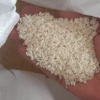 برنج شمشیری آب چاه وچشمه
