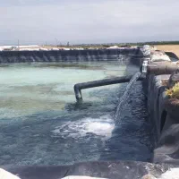 زمین کشاورزی|فروش زمین و ملک کلنگی|هیر, |دیوار